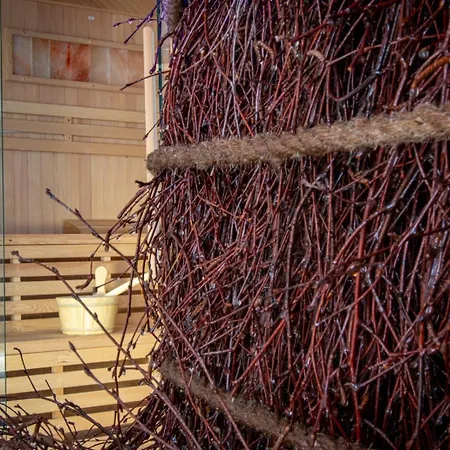 Comfort Belle View *